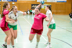 20260208-20260208_wC_TuS-05-Daun-HSG-Obere-Nahe-030