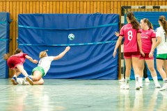 20260208-20260208_wC_TuS-05-Daun-HSG-Obere-Nahe-070