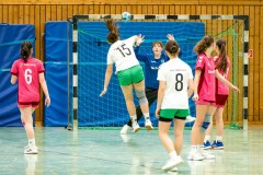 20260208-20260208_wC_TuS-05-Daun-HSG-Obere-Nahe-096