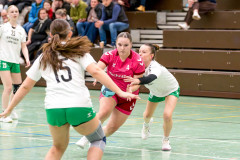 20260208-20260208_wC_TuS-05-Daun-HSG-Obere-Nahe-102