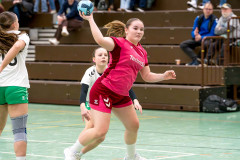 20260208-20260208_wC_TuS-05-Daun-HSG-Obere-Nahe-105
