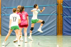 20260208-20260208_wC_TuS-05-Daun-HSG-Obere-Nahe-106