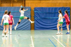 20260208-20260208_wC_TuS-05-Daun-HSG-Obere-Nahe-107