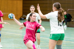 20260208-20260208_wC_TuS-05-Daun-HSG-Obere-Nahe-115