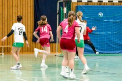 20260208-20260208_wC_TuS-05-Daun-HSG-Obere-Nahe-156