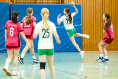 20260208-20260208_wC_TuS-05-Daun-HSG-Obere-Nahe-185