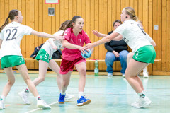 20260208-20260208_wC_TuS-05-Daun-HSG-Obere-Nahe-206