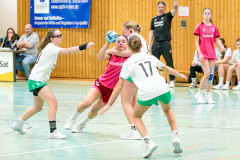 20260208-20260208_wC_TuS-05-Daun-HSG-Obere-Nahe-217