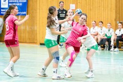 20260208-20260208_wC_TuS-05-Daun-HSG-Obere-Nahe-224