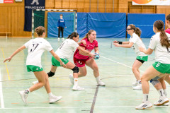 20260208-20260208_wC_TuS-05-Daun-HSG-Obere-Nahe-225