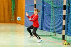 20260208-20260208_wC_TuS-05-Daun-HSG-Obere-Nahe-283