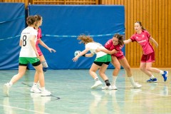 20260208-20260208_wC_TuS-05-Daun-HSG-Obere-Nahe-303