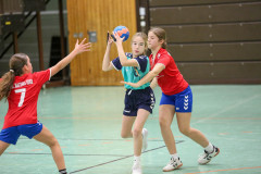 20251108-6J5A5465