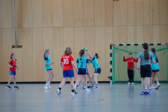 20230311-DSC_0094