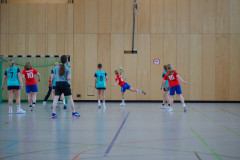 20230311-DSC_0168