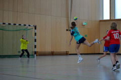 20230311-DSC_0229