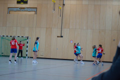 20230311-DSC_0244