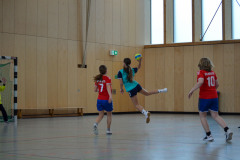 20230311-DSC_0250