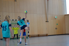 20230311-DSC_0255