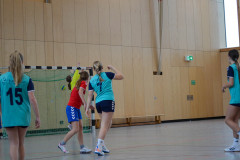 20230311-DSC_0258
