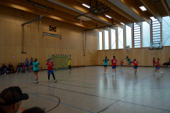 20230311-DSC_0282