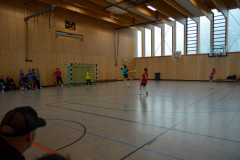 20230311-DSC_0289