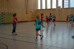 20230311-DSC_0300
