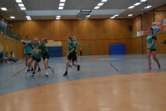 20231105-DSC_0150