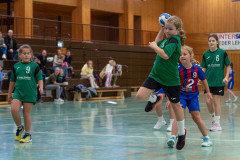 20241103-20241103_wE-TuS-05-Daun-DJK-St.-Matthias-Trier-083