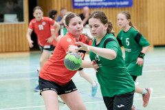 20260418-20260418_wE_TuS-05-Daun-HSG-Wittlich-151