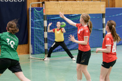 20260418-20260418_wE_TuS-05-Daun-HSG-Wittlich-164