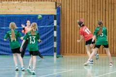 20260418-20260418_wE_TuS-05-Daun-HSG-Wittlich-167