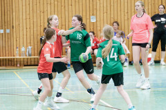 20260418-20260418_wE_TuS-05-Daun-HSG-Wittlich-189