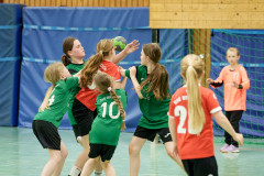 20260418-20260418_wE_TuS-05-Daun-HSG-Wittlich-195