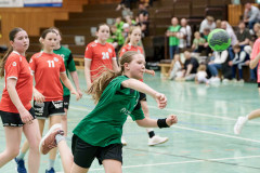 20260418-20260418_wE_TuS-05-Daun-HSG-Wittlich-212