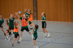 20231105-DSC_0028